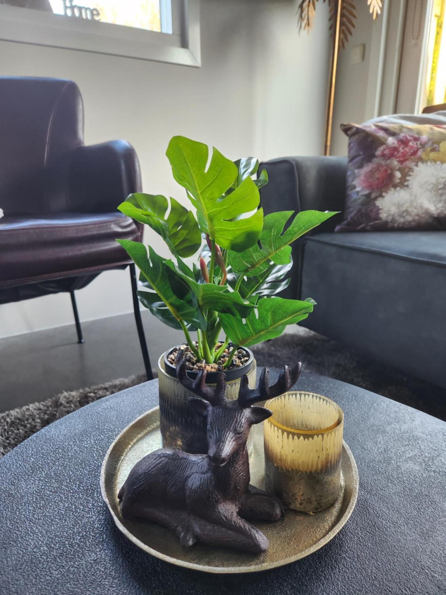 بارنيفيلد B&B Trust المظهر الخارجي الصورة